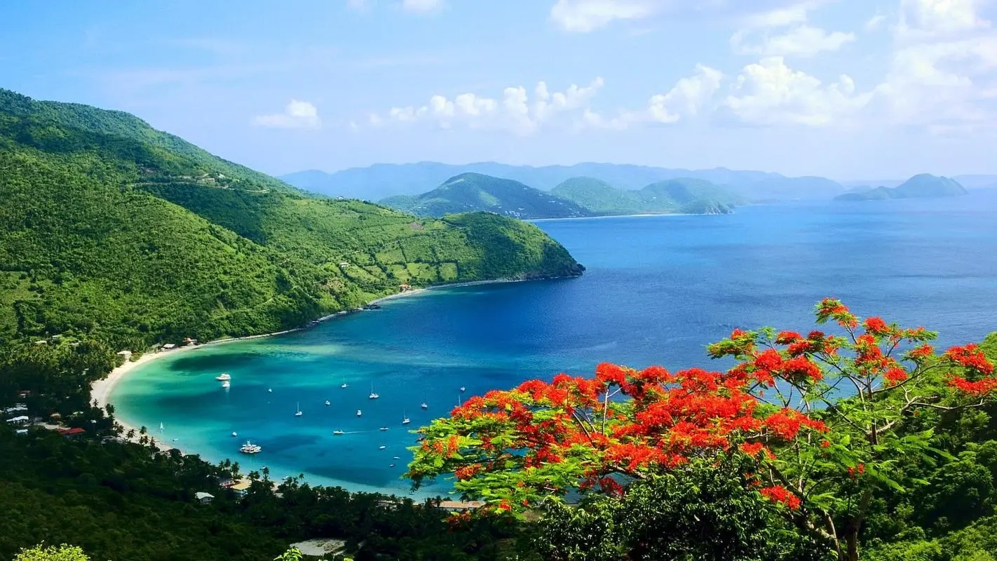 精密节能全自动